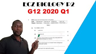 Biology paper 2  G12 2020  Question 1 answers [upl. by Carper]