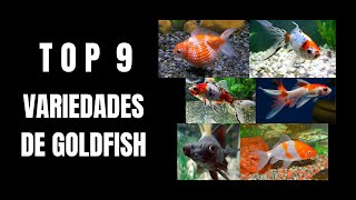 9 VARIEDADES DE GOLDFISH [upl. by Lerner683]