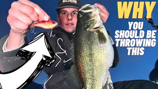 Winter Bass Fishing Jerkbaits and Lipless Crankbaits [upl. by Pip]