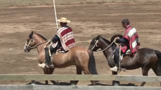 CLUB DE RODEO CAUQUENES 15 ENERO 2017 [upl. by Esiralc]