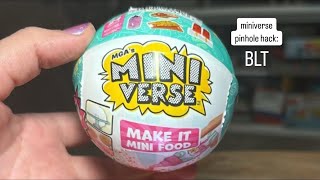 miniverse pinhole hack  BLT [upl. by Renick]