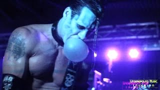 Doyle Misfits amp Abominator Strutter Kiss  Dreamingdeadgirls  Bloodfeast Green Hell [upl. by Spanos]