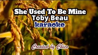 She Used To Be Mine karaoke  toby beau [upl. by Letnoj]