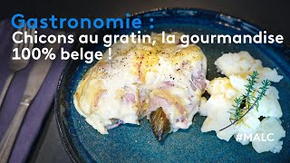 Gastronomie  chicons au gratin la gourmandise 100 belge [upl. by Casper]