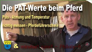 Der Pferdeführerschein FN  Puls Atmung Temperatur beim Pferd richtig messen [upl. by Jaban]