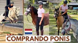 VLOGEn busca 👀🔎de ponis🦄🌈en Holanda 🇳🇱monto mil ponis ⚔️ aventura con Sports Ponis los elegidos😱 [upl. by Cima]