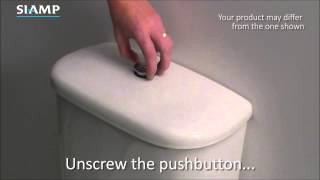 Flushing Valves How to Unscrew Button [upl. by Neenaj826]