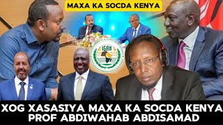 “IGAD Waxa Ay Doonaysa In La Meel Mariyo Heshiiskii Somaliland Iyo Ethiopia” Pro Abdiwahab Abdisamad [upl. by Ibbetson306]