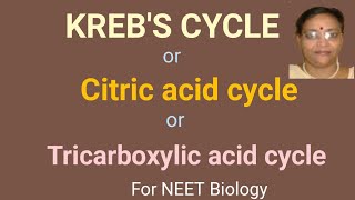 Krebs Cycle Citric acid Cycle Tricarboxylic acid Cycle [upl. by Fergus]