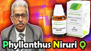 Golden Homeopathy Remedy  Phyllanthus Niruri Q  Dr PS Tiwari [upl. by Close]