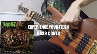 Benighted  Experience Your Flesh Bass Cover [upl. by Artemahs]