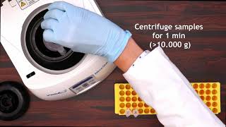 Milenia GenLine swab PCR  Direct detection of beer spoiling organisms [upl. by Ycnan19]