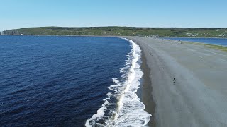 Whales at St Vincents Beach NL 2024 [upl. by Rafaj]