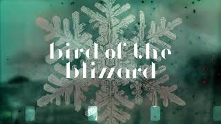 Spell Songs  Bird of the Blizzard Live [upl. by Ainslie]