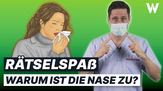 Erkältung vs Allergie Warum läuft die Nase Unterschiede selbst erkennen [upl. by Ellekim357]