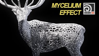 Mycelium Effect  Part1 [upl. by Attey908]