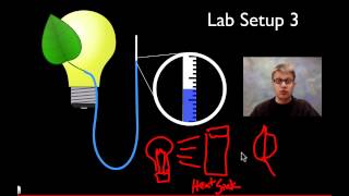 AP Biology Lab 9 Transpiration [upl. by Kelwin439]