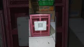 Cek Sound Miniatur box Middle Balap kecil kecil cabe rawit miniaturhoreg [upl. by Giff]