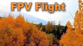 FPV drone Autumn flight [upl. by Ecidnacal]