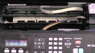 Installazione CISS per Stampante Epson WF2510 WF2520 WF2530 WF2540 [upl. by Yesnyl]