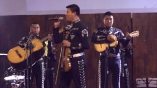 Mariachi Trompetas de América [upl. by Lluj306]