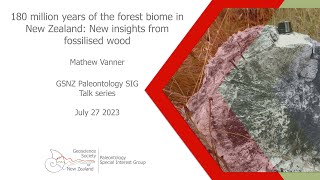 180 million years of the forest biome in New Zealand New insights from fossilised wood [upl. by Bourn835]