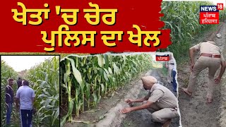 LIVE  ਖੇਤਾਂ ਚ ਚੋਰਪੁਲਿਸ ਦਾ ਖੇਲ  Barnala Police After Thief Escaped  Punjab News  News18 Punjab [upl. by Adolfo]