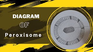 Peroxisomes  Structure  Diagram  Pharma Edu Verse [upl. by Lorilyn]