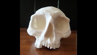 Back to the Future Skull Parts 1 to 4 Progress Report [upl. by Nelleus]