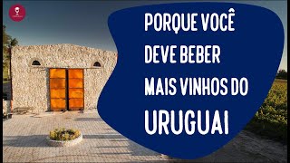 Porque você deve beber mais vinhos do Uruguai [upl. by Dambro]