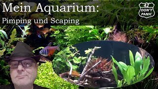 Pimping und Scaping  Mein Aquarium 11 [upl. by Ahsikahs118]