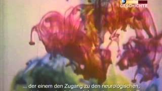 Timothy Leary ein Professor auf LSD [upl. by Attekal]