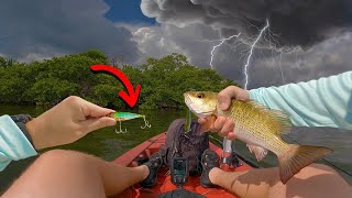 Kayak Fishing for Mangrove Snapper with Artificial Lures BAD STORM [upl. by Hsilgne]