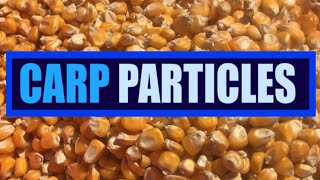 How to Prepare Maize and Corn  Carp Fishing Particle [upl. by Murphy14]