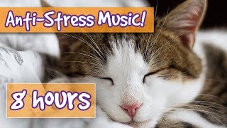 Songs for Nervous Cats Soothing Music to Calm Your Hyperactive Anxious Cat and Help with Sleep 🐈 [upl. by Natlus]