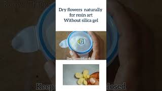 Lets dry flowers without silica gel  dry resin flowersresinflowers resinartist [upl. by Isidora]