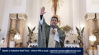 Padre Robson de Oliveira da l Santa Missa na Catedral Diocesana Sant´Ana em Mogi das Cruzes [upl. by Eustashe]