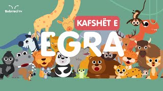 🐘 Kafshët e Egra për Fëmijë 🦧 Këngë Shqip për Fëmijë 🦁 Bubrreci TV kafshët kengeperfemije [upl. by Ainot]