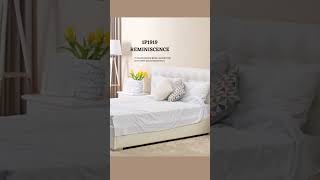 Top 5 Berger paints off white shade bergerpaints livingroomcolors bedroomcolourcombination [upl. by Aihsekat]