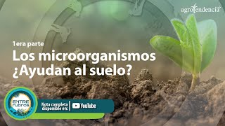 Microorganismos ¿Ayudan al suelo 🌱 Parte I [upl. by Nadual]