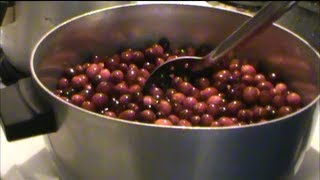 Canning Cranberry Sauce [upl. by Disharoon872]