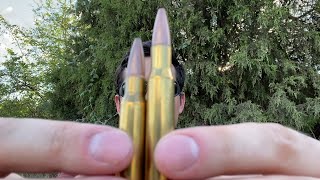 3006 vs 308 Winchester Which Penetrates Steel Better [upl. by Nasas959]