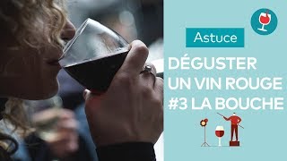 Comment déguster un vin rouge 3  la bouche  Les astuces du Petit Ballon [upl. by Austen537]