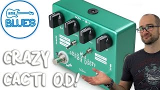 Caline Crazy Cacti Overdrive Pedal [upl. by Monie17]