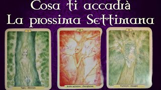 COSA TI ACCADRÀ LA PROSSIMA SETTIMANA COME SARÀ DIVINAZIONE [upl. by Floss]