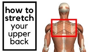 How to stretch your upper middle back  rhomboid muscle [upl. by Iran]