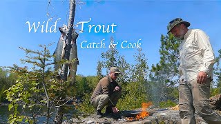 4 Days WILD TROUT Fishing amp Camping in the WILDERNESS  A Remote Canoe Camping Adventure in Canada [upl. by Droflim368]