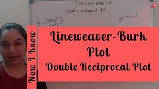 Lineweaver Burk Plot – Double Reciprocal Plot [upl. by Garrard]