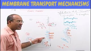 Cell Membrane Transport  Plasma Membrane Transport  Cell Biology🩸 [upl. by Grantley577]