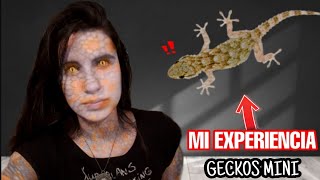 Mi experiencia con una SALAMANQUESA COMÚN GECKO cuidados en cautividad LaVelociBlue [upl. by Lengel]